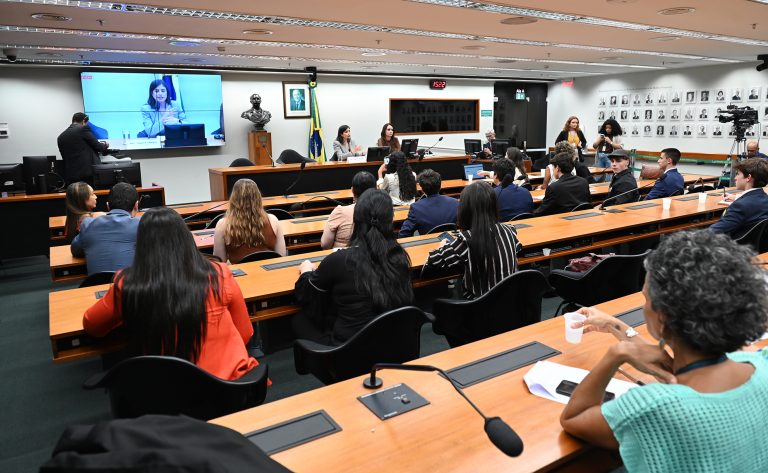 Grupo de trabalho debate aspectos jurídicos da criminalização da misoginia