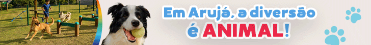https://www.prefeituradearuja.sp.gov.br/