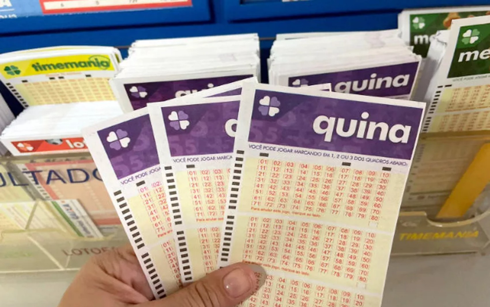 Quina hoje: resultado do concurso 6772 e números sorteados