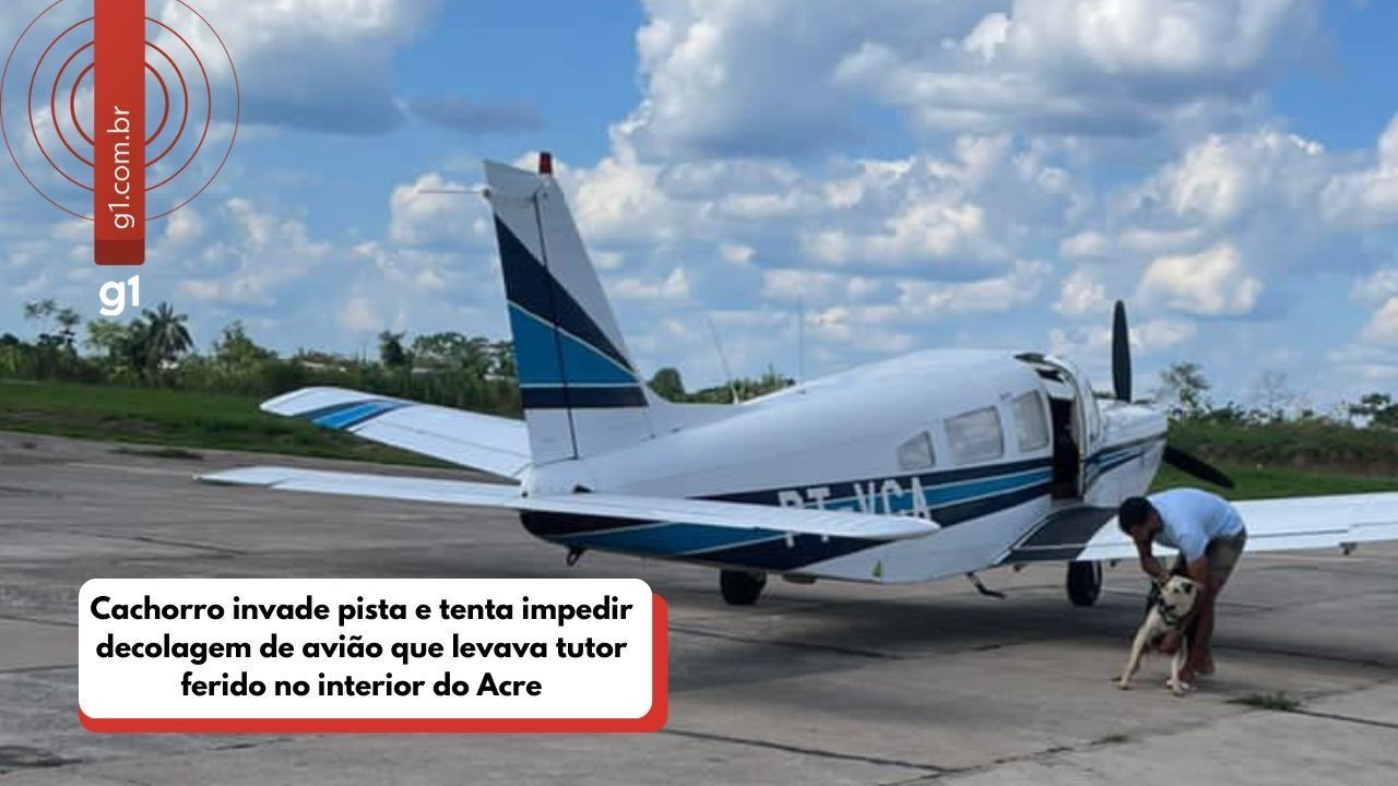 VÍDEO: cachorro invade pista e tenta impedir decolagem de avião que levava tutor ferido no Acre