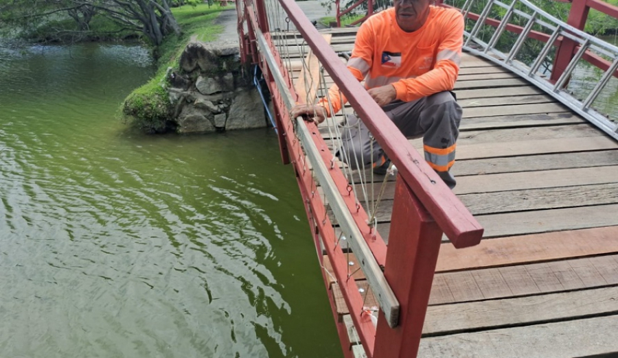 Ponte de madeira do Parque Centenário é interditada para reforma completa