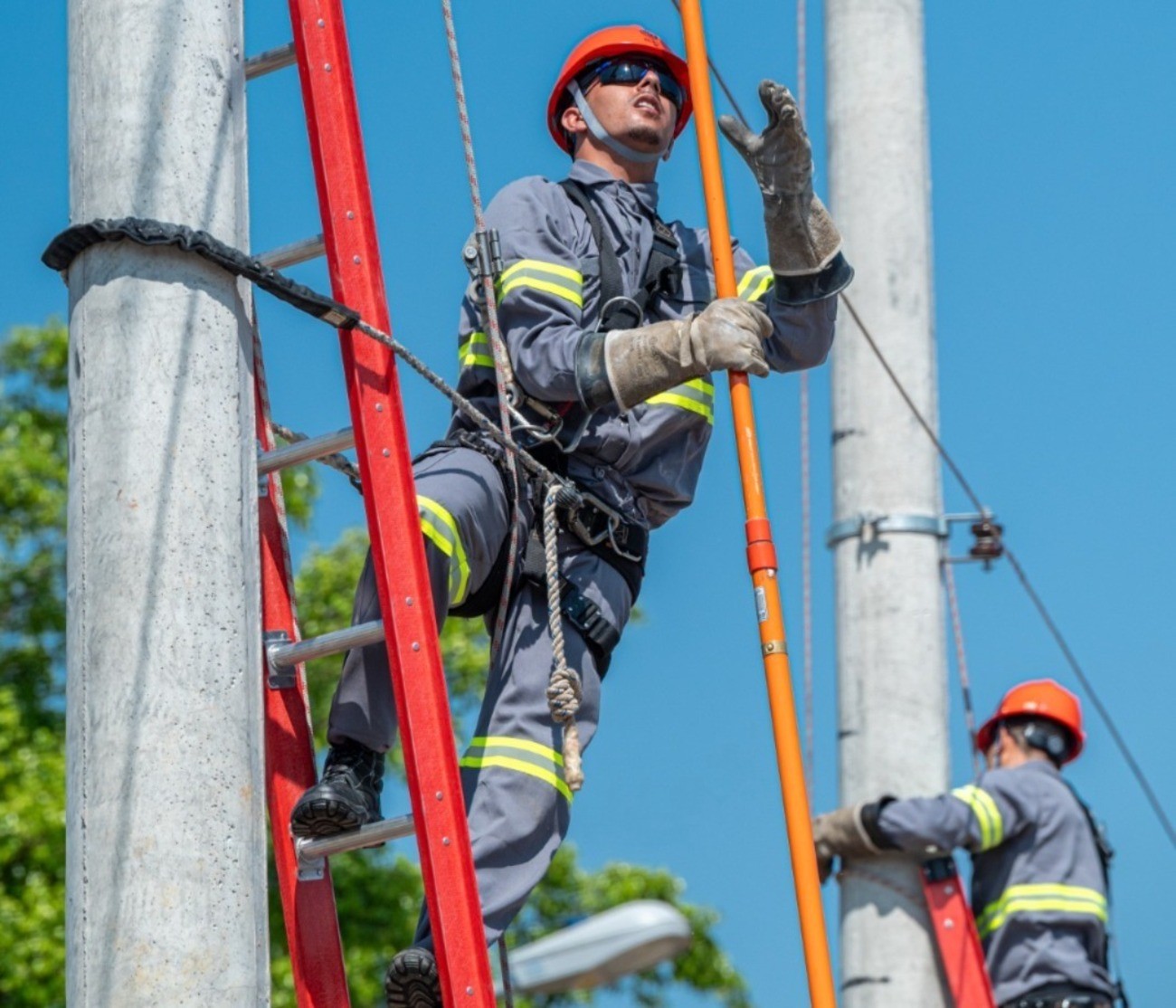 Mogi das Cruzes abre 16 vagas para Jovem Aprendiz; veja como se inscrever