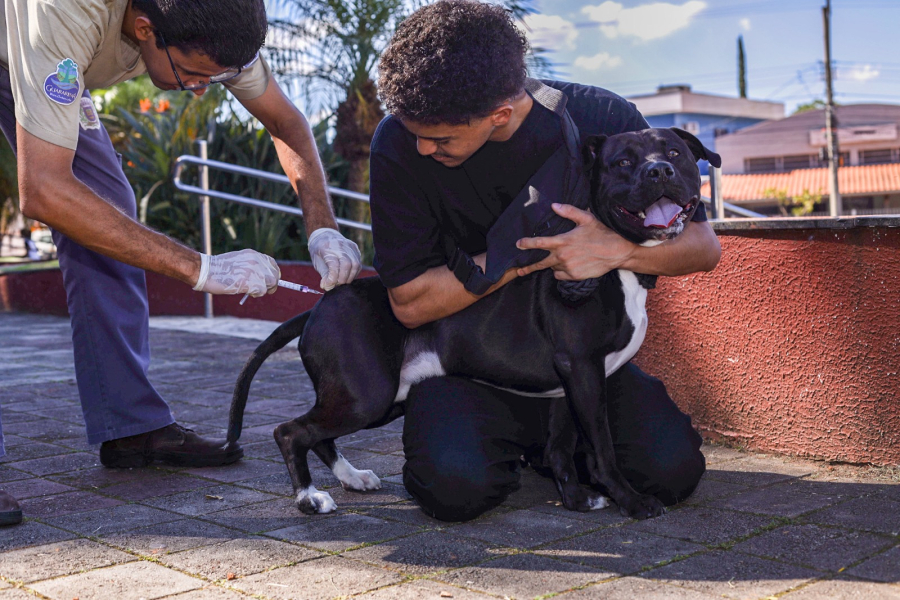 Prefeitura de Guararema segue com vacinação de cães e gatos em abril