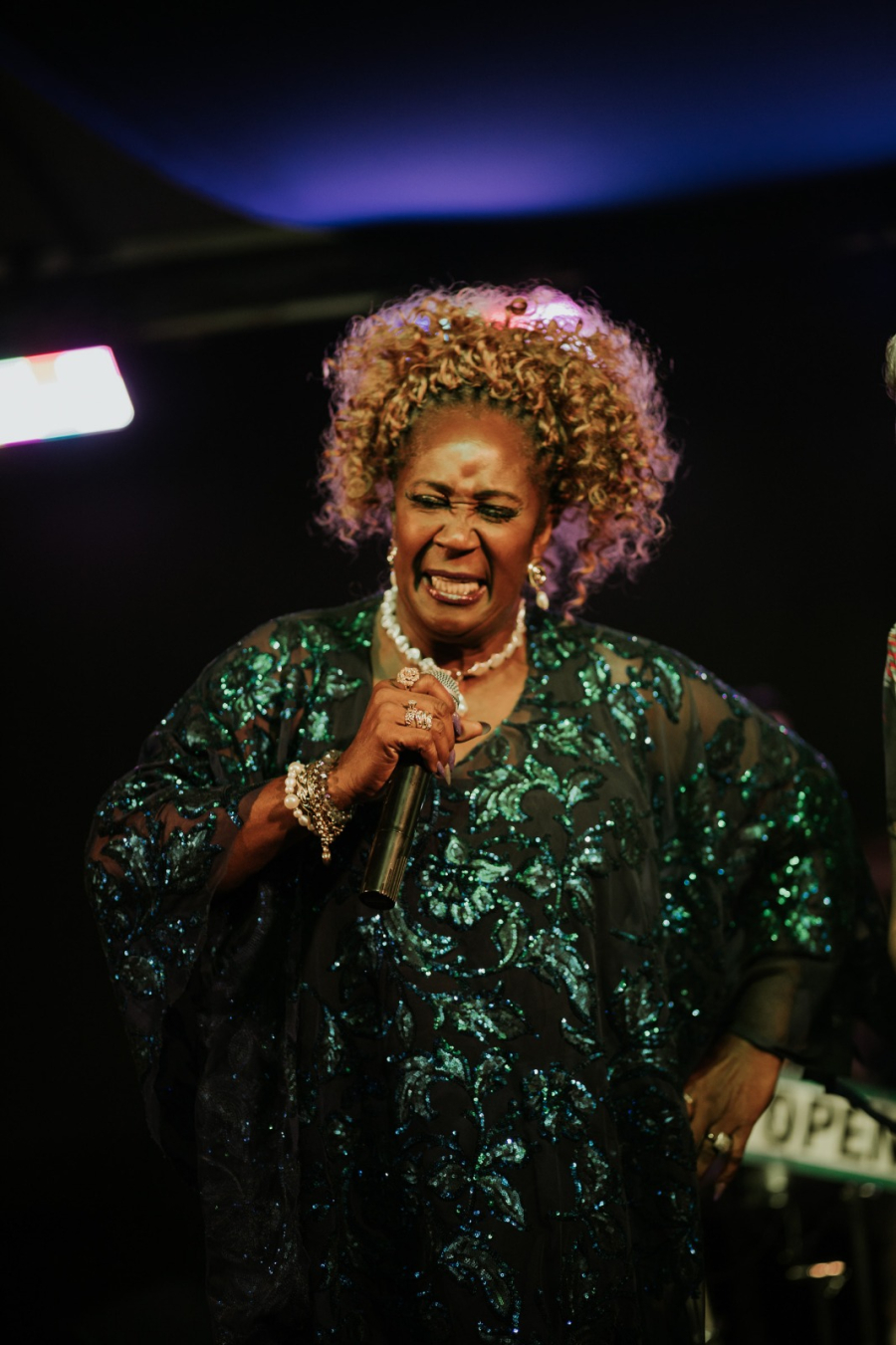 3º Guararema Jazz & Blues Festival começa nesta quinta-feira com programação durante todo o dia