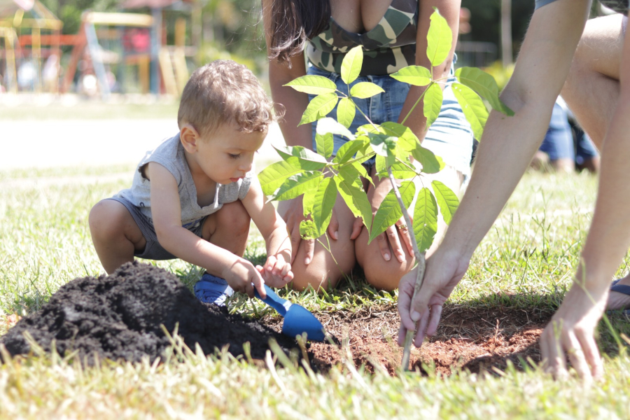 No Mês do Meio Ambiente, Suzano supera marca de 500 árvores plantadas no ano