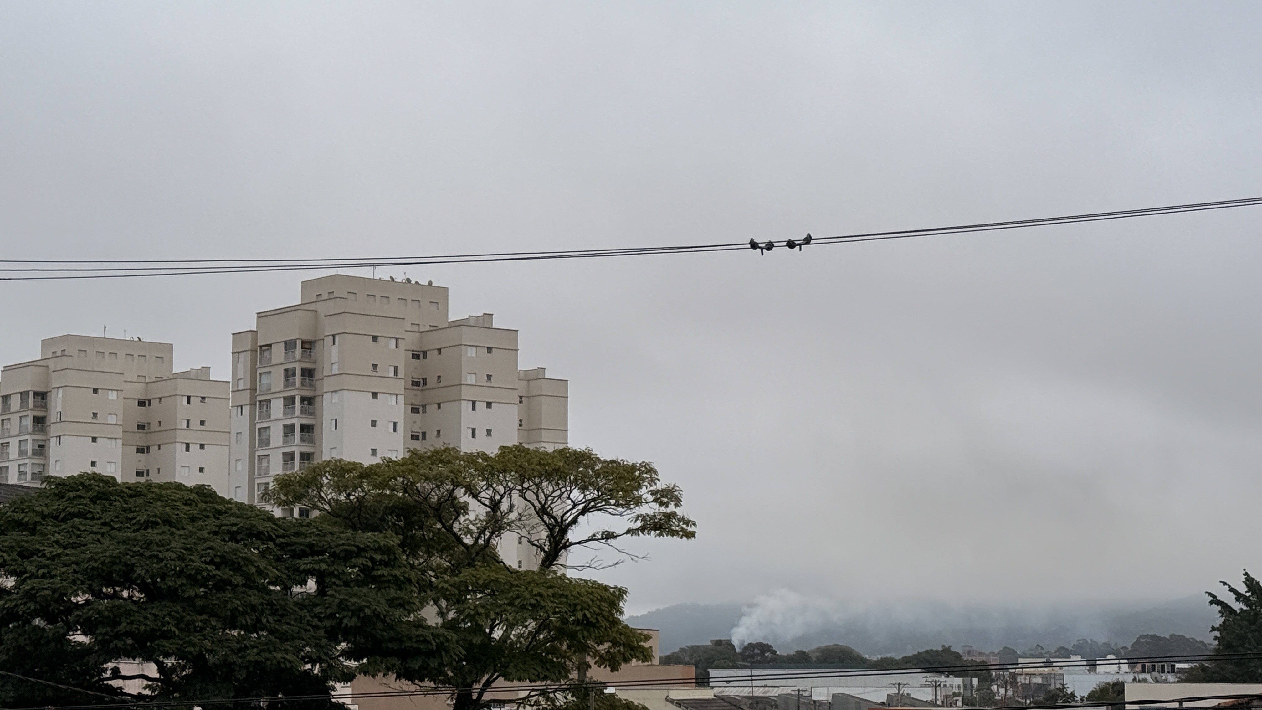Tempo em Mogi das Cruzes: massa de ar polar derruba temperaturas neste fim de semana