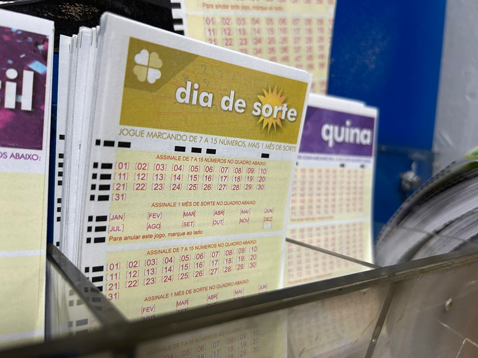 Dia de Sorte hoje: resultado do concurso 1238 e números sorteados