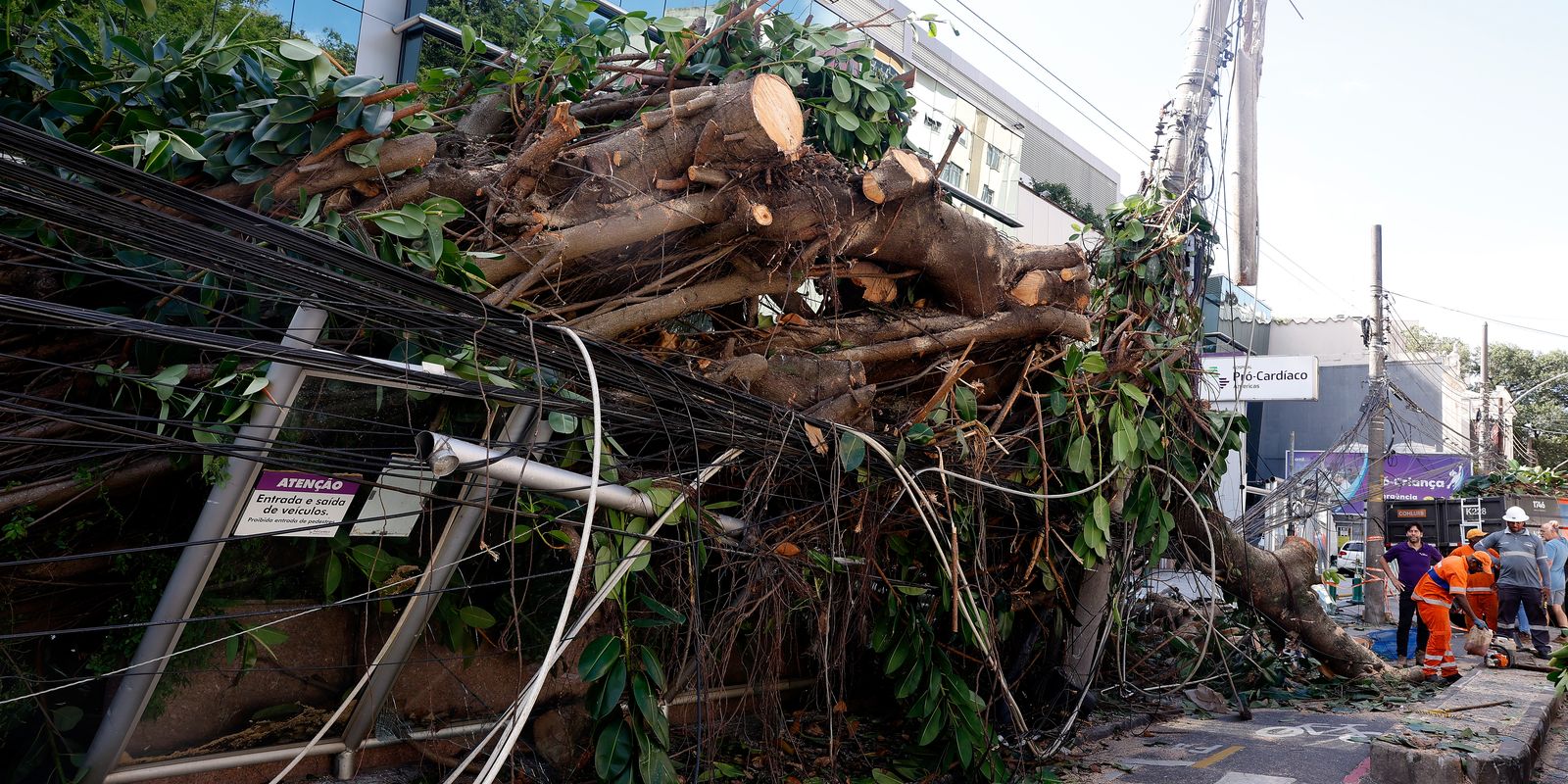 Ventania em SP, RS e RJ expõe falhas na resposta a extremos climáticos