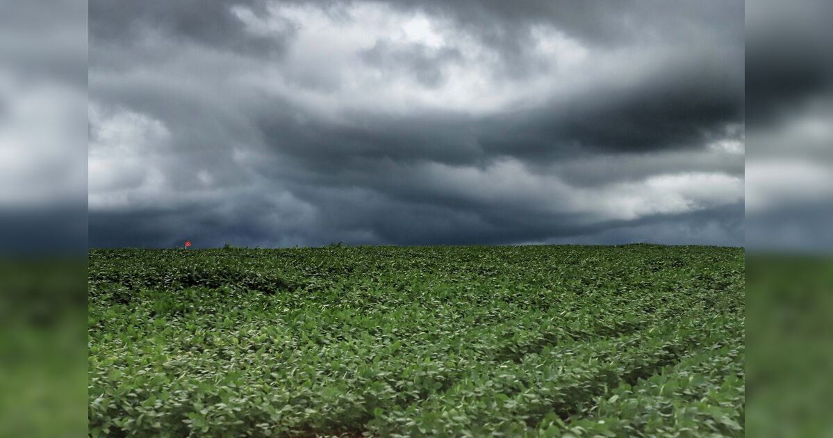Paraná enfrenta semana de amplitude térmica e retorno de tempestades, prevê Simepar