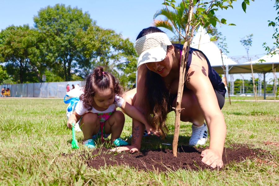 Árvore FamiliAR’ abre inscrições para nova edição no Parque Max Feffer