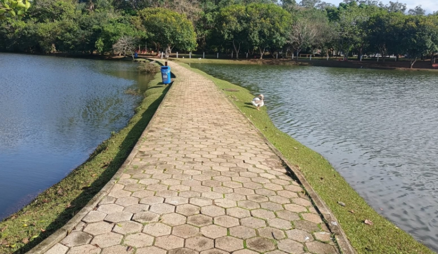 Parque Centenário será reaberto ao público nesta quarta-feira (23/09)
