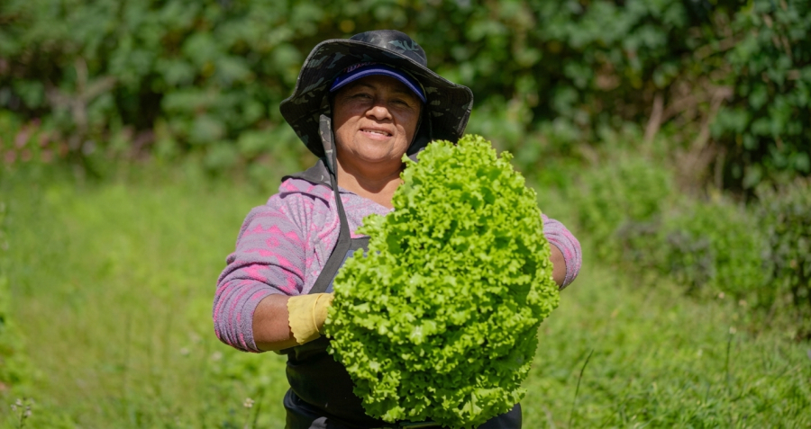 Mulheres ganham protagonismo na agricultura familiar apoiada pela Suzano em SP 
