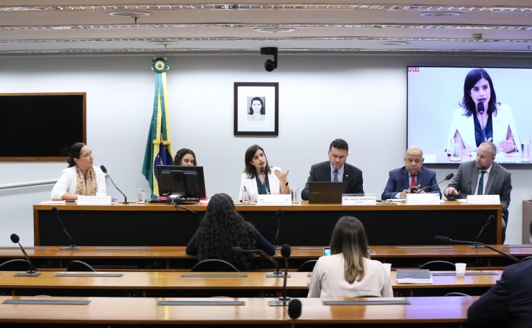 Especialistas discordam sobre idade adequada para alfabetização das crianças em debate sobre novo PNE